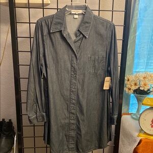 Coldwater Creek Gray Long Sleeve Dress